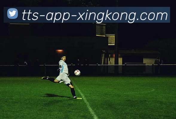App 展示图