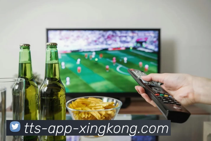 App Interface Preview